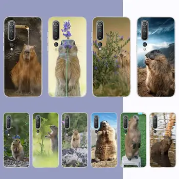 YNDFCNB Hayvan Komik Capybara Bling Telefon Kılıfı için Samsung S21 A10 Redmi için Not 7 9 için P30Pro Onur 8X 10i kapak